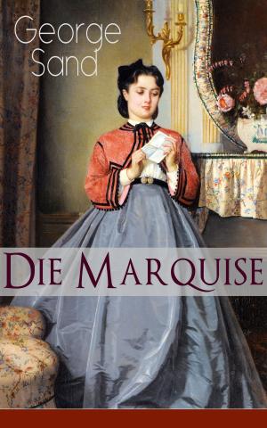 Cover of the book Die Marquise by susan m. rostan