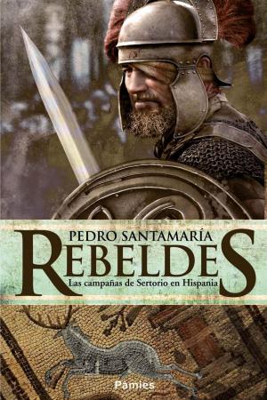 Cover of the book Rebeldes by Laura Nuño