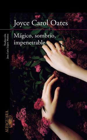 Cover of the book Mágico, sombrío, impenetrable by Luigi Garlando