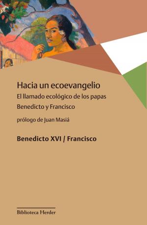 Cover of the book Hacia un ecoevangelio by Martin Heidegger, Fritz Heidegger