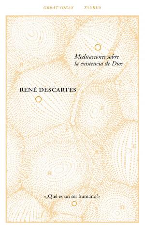 Cover of the book Meditaciones sobre la existencia de Dios (Serie Great Ideas 40) by Lena Valenti