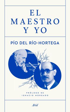 Cover of the book El maestro y yo by Daniel Ruiz