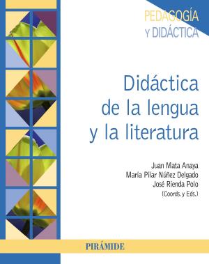Cover of the book Didáctica de la lengua y de la literatura by Isaac Amigo Vázquez