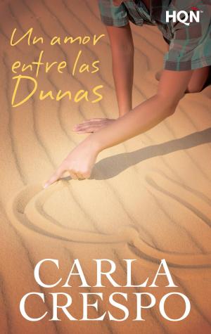 Book cover of Un amor entre las dunas