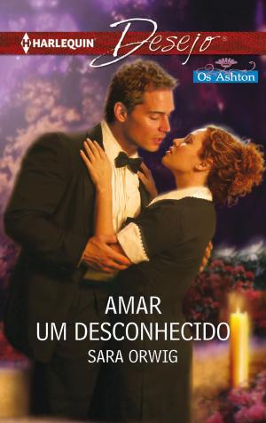 Cover of the book Amar um desconhecido by Jennie Adams
