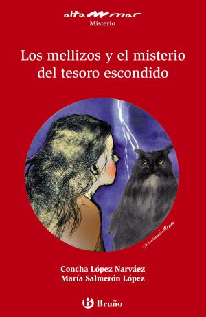 Cover of the book Los mellizos y el misterio del tesoro escondido (ebook) by César Fernández García