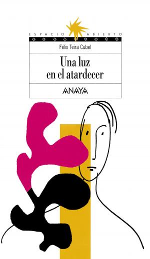 Cover of the book Una luz en el atardecer by Vicente Muñoz Puelles
