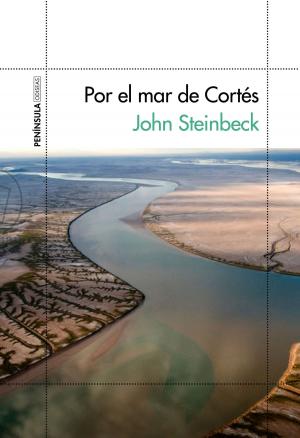 Cover of the book Por el mar de Cortés by Ana Guerra, Elena Pancorbo