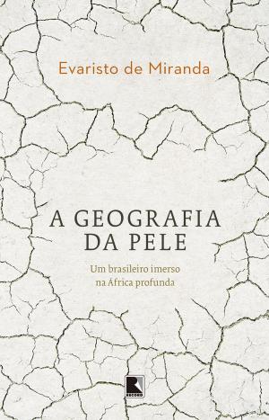 Cover of the book A geografia da pele by Luisa Geisler