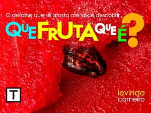 Cover of the book Que fruta que é ? by Levindo Carneiro