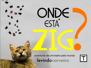 Cover of the book Onde está ZIG? by Levindo Carneiro