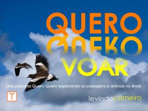 Cover of the book Quero quero voar by Levindo Carneiro