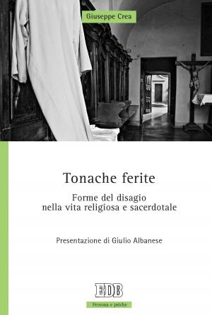 Book cover of Tonache ferite