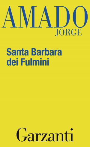 Cover of the book Santa Barbara dei Fulmini by Alberto Maggi