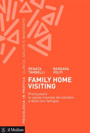 Cover of the book Family Home Visiting by 