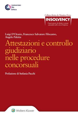 Cover of Attestazioni e controllo giudiziario nelle procedure concorsuali