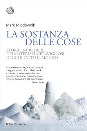 Cover of the book La sostanza delle cose by Jonathan Gottschall