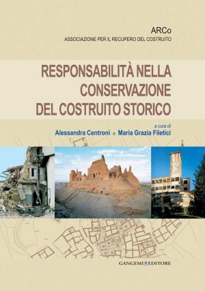 Cover of the book Responsabilità nella conservazione del costruito storico by Domenico Poggi