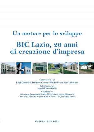 Cover of the book BIC Lazio, 20 anni di creazione d’impresa by Stefano Colonna