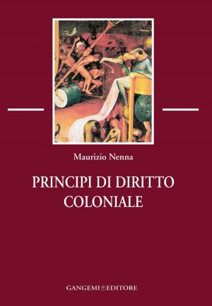 Cover of the book Principi di Diritto coloniale by Maria Teresa D'Alessio, Cecilia D'Elia, Anna Maria Moretti, Alessandro Nicosia, Marina Sapelli Ragni, Nicola Zingaretti
