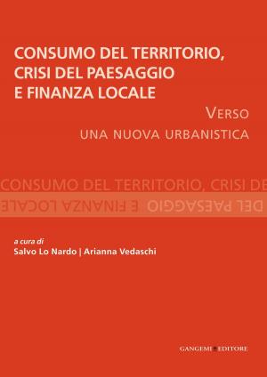 Cover of the book Consumo del Territorio, crisi del Paesaggio e Finanza locale by Luigi Preti
