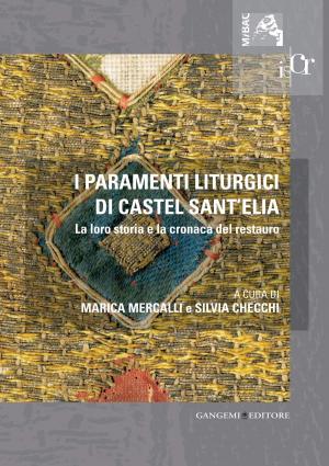 Cover of the book I paramenti liturgici di Castel Sant'Elia by Gennaro Petruccelli, Luigi S.E. Mons. Vari, Elisabetta Silvestrini, Lino Sorabella