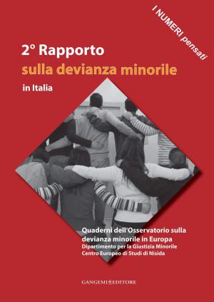 Cover of the book 2° Rapporto sulla devianza minorile in Italia by Erio Carnevali, Rebecca Carnevali, Paolo Portoghesi, Claudio Spadoni