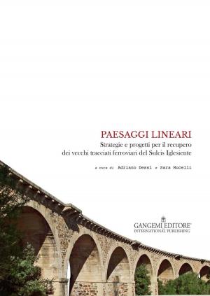 Book cover of Paesaggi lineari