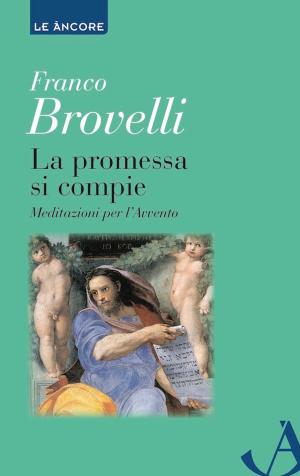 Cover of the book La promessa si compie by Roberto Allegri