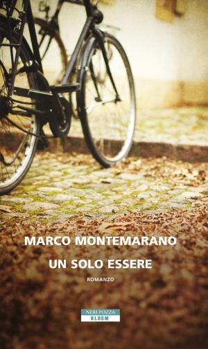 Cover of the book Un solo essere by Anthony Avina