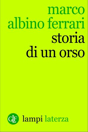 Book cover of Storia di un orso
