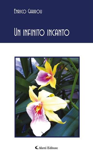 Cover of the book Un infinito incanto by Pietro Bolani