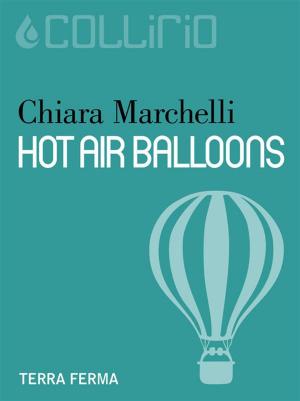 Cover of the book Hot Air Balloons by J.Á. González Sainz