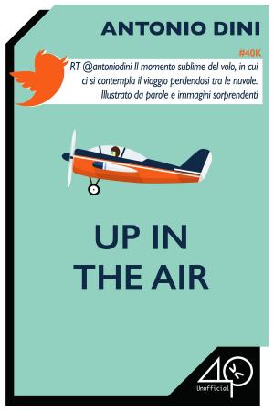 Cover of the book Up in the Air by Flavio Ubaldini