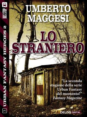 Cover of the book Lo straniero by Lee J. Minter