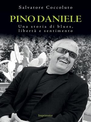 Cover of the book Pino Daniele by Sally Blank