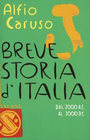 Cover of the book Breve storia d'Italia by Philip Pullman