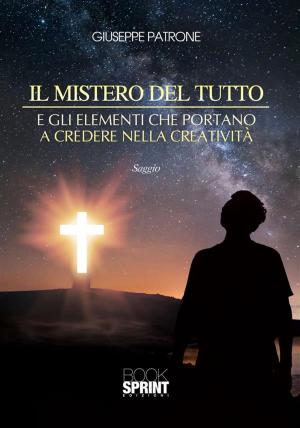 Cover of the book Il mistero del tutto e gli elementi che portano a credere nella creatività by Antonio Insardi
