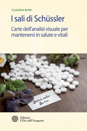 Cover of the book I sali di Schüssler by Silvia Rollone