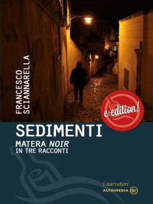 Cover of the book Sedimenti by Carmen Pafundi
