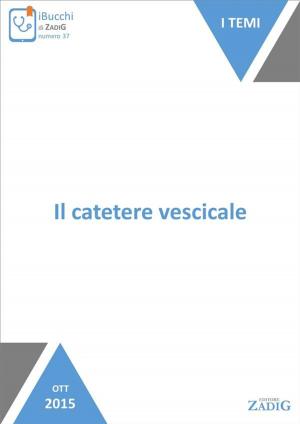 Cover of the book Il catetere vescicale by Giusta Greco, Manuela Giori, Roberto Quarisa