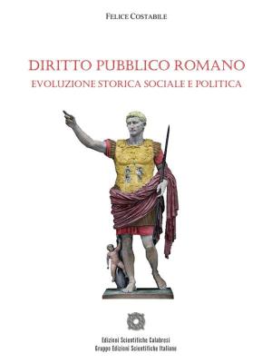 Book cover of Diritto Pubblico Romano