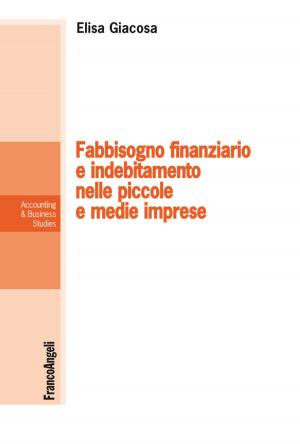 Cover of the book Fabbisogno finanziario e indebitamento nelle piccole e medie imprese by Mariagiulia Bennicelli Pasqualis