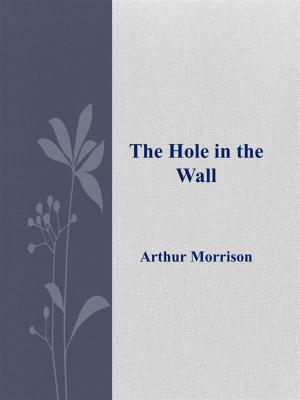 Cover of the book The Hole in the Wall by Silver James