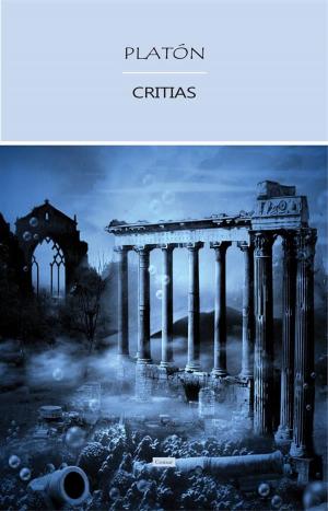 Cover of the book Critias by Platón