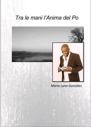 Cover of the book tra le mani l'anima del po by Gail Dayton