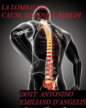 Cover of the book Lombalgia:Cause, sintomi e rimedi. by Nicolò Visalli, Roberto Pulcri