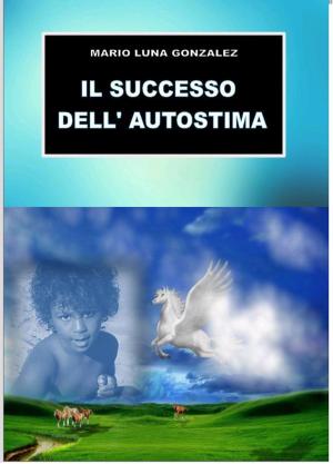 Book cover of Il successo dell'autostima
