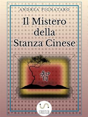 bigCover of the book Il Mistero della Stanza Cinese by 