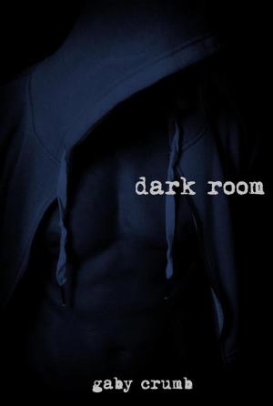 Book cover of dark room